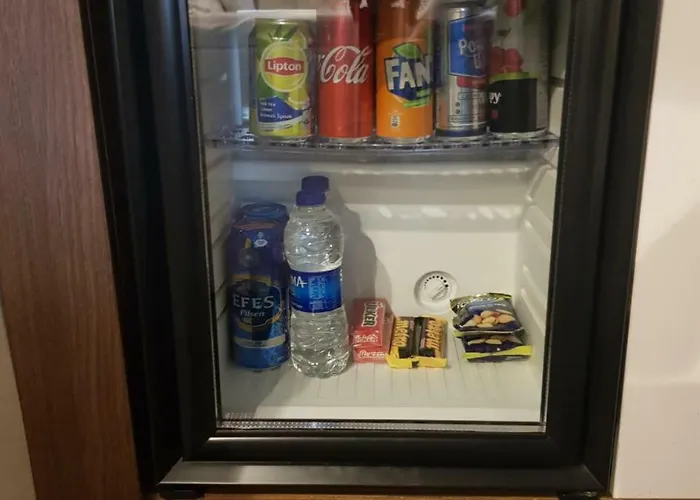 ホテル Guleryuz 2*